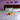 dog asleep on bed with white comforter on green sheets