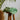 eucalyptus throw blanket in leaf green relaxing on a three-legged stool||Leaf Green