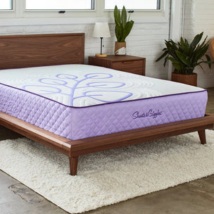 It's natural, it's cooling, it's rectangular: it's S&G's Eucalyptus Mattress. Rated 9.5/10 by NapLab. Plus, get any other item for free when you order our mattress with code PERFECTPAIR.