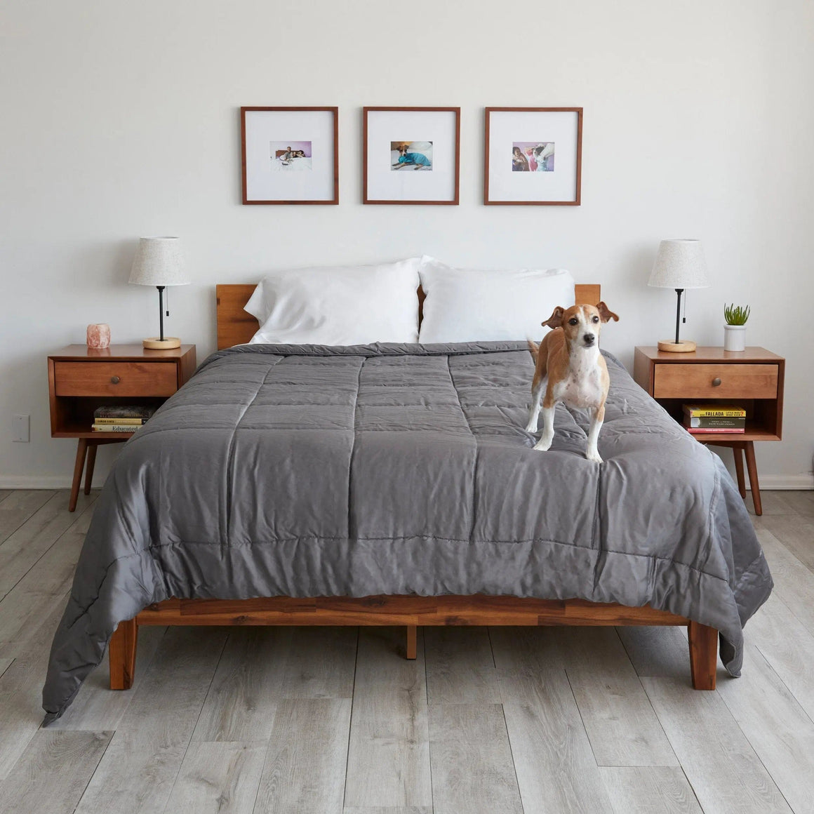 Eucalyptus Comforter AllSeason & Temperature Regulating Sheets