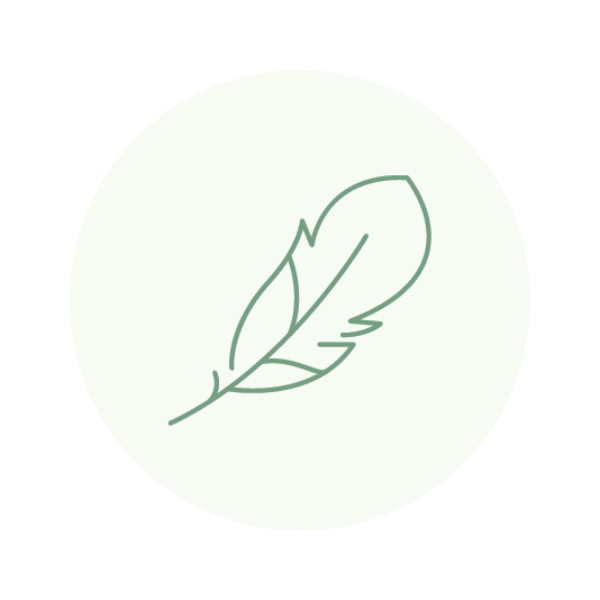 Green feather icon on a white background
