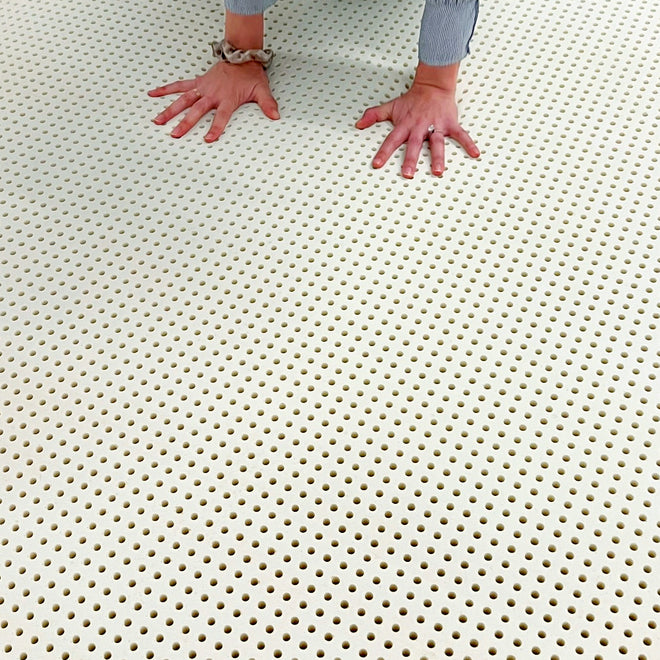 Talalay Latex