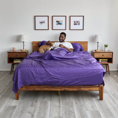 eucalyptus sheets in solid purple||Purple
